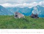 Preview: Wall Calendar The Alps 2023