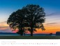 Preview: Trees and Forests 2023