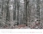 Preview: Trees and Forests 2023