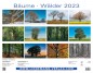 Preview: Trees and Forests 2023