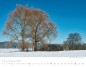Preview: Trees and Forests 2023