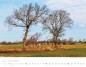 Preview: Trees and Forests 2023