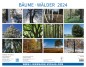 Preview: Calendrier mural Les arbres et les forêts 2024