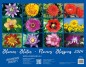 Preview: Bloemen. Blossoms 2024