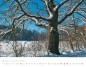 Preview: Wall Calendar Seasons 2023 Preview: Wall Calendar Seasons 2023