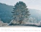Preview: Wall Calendar Seasons 2023 Preview: Wall Calendar Seasons 2023
