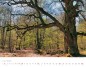 Preview: Wall Calendar Seasons 2023 Preview: Wall Calendar Seasons 2023