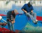 Preview: Portugal 2024 Preview: Portugal 2024