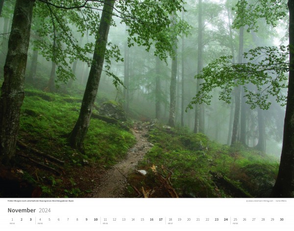 Wall Calendar The Alps 2024