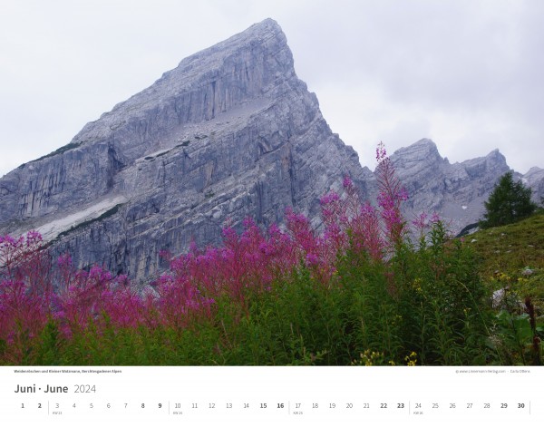 Wall Calendar The Alps 2024