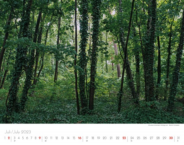 Trees and Forests 2023