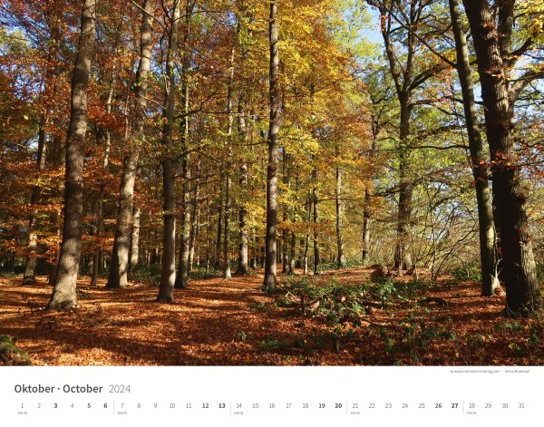 Calendrier mural Les arbres et les forêts 2024