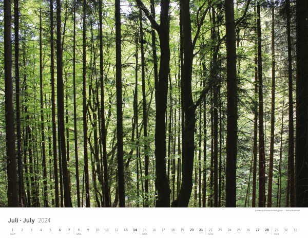 Kalender Bomen bossen 2024