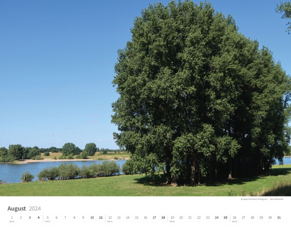 Calendrier mural Les arbres et les forêts 2024