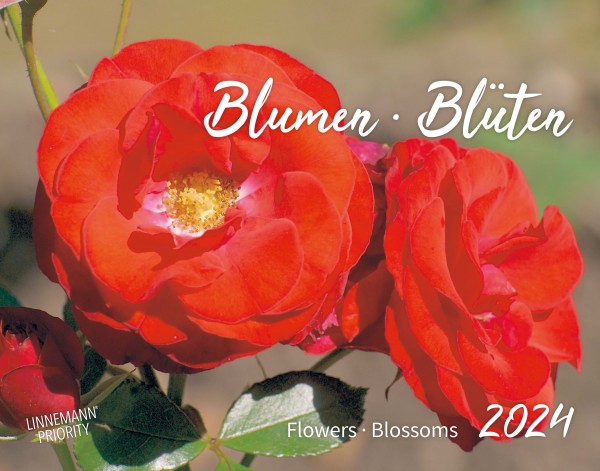 Blumen. Blüten 2024