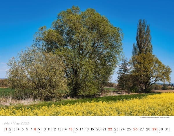 Wall Calendar Seasons 2022