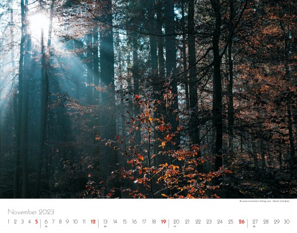 Wall Calendar Seasons 2023