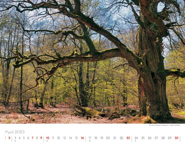 Wall Calendar Seasons 2023