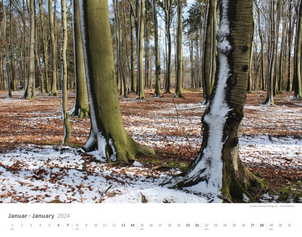 Wall Calendar Seasons 2024