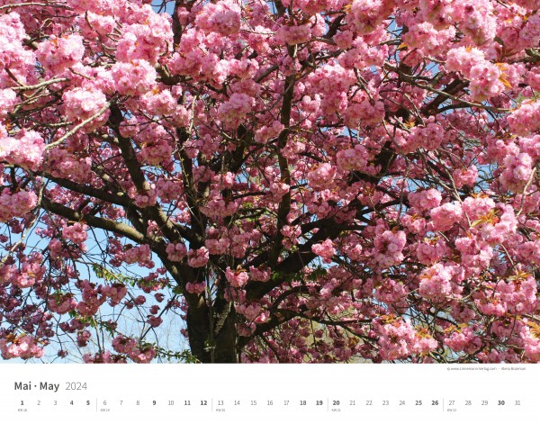 Wall Calendar Seasons 2024