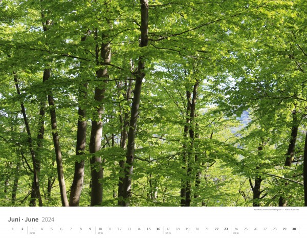 Wall Calendar Seasons 2024