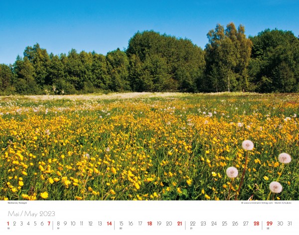 Wall Calendar Sweden 2023