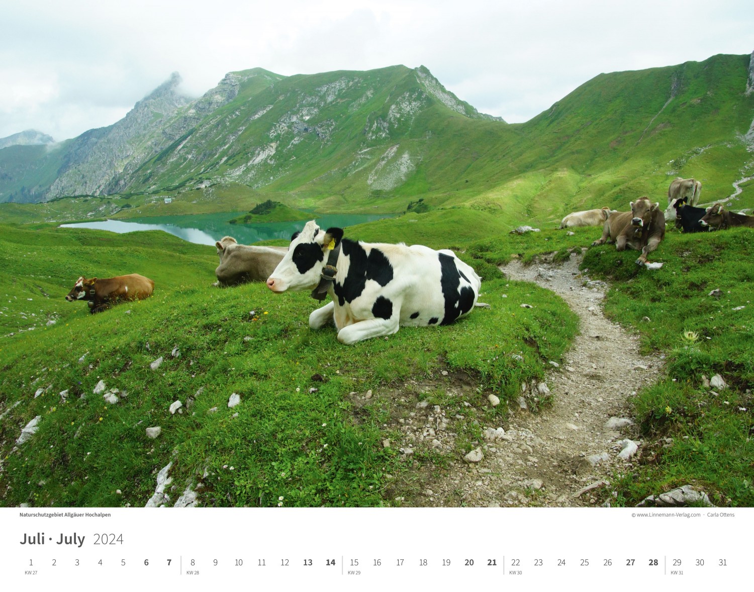 Calendrier mural Les Alpes 2024