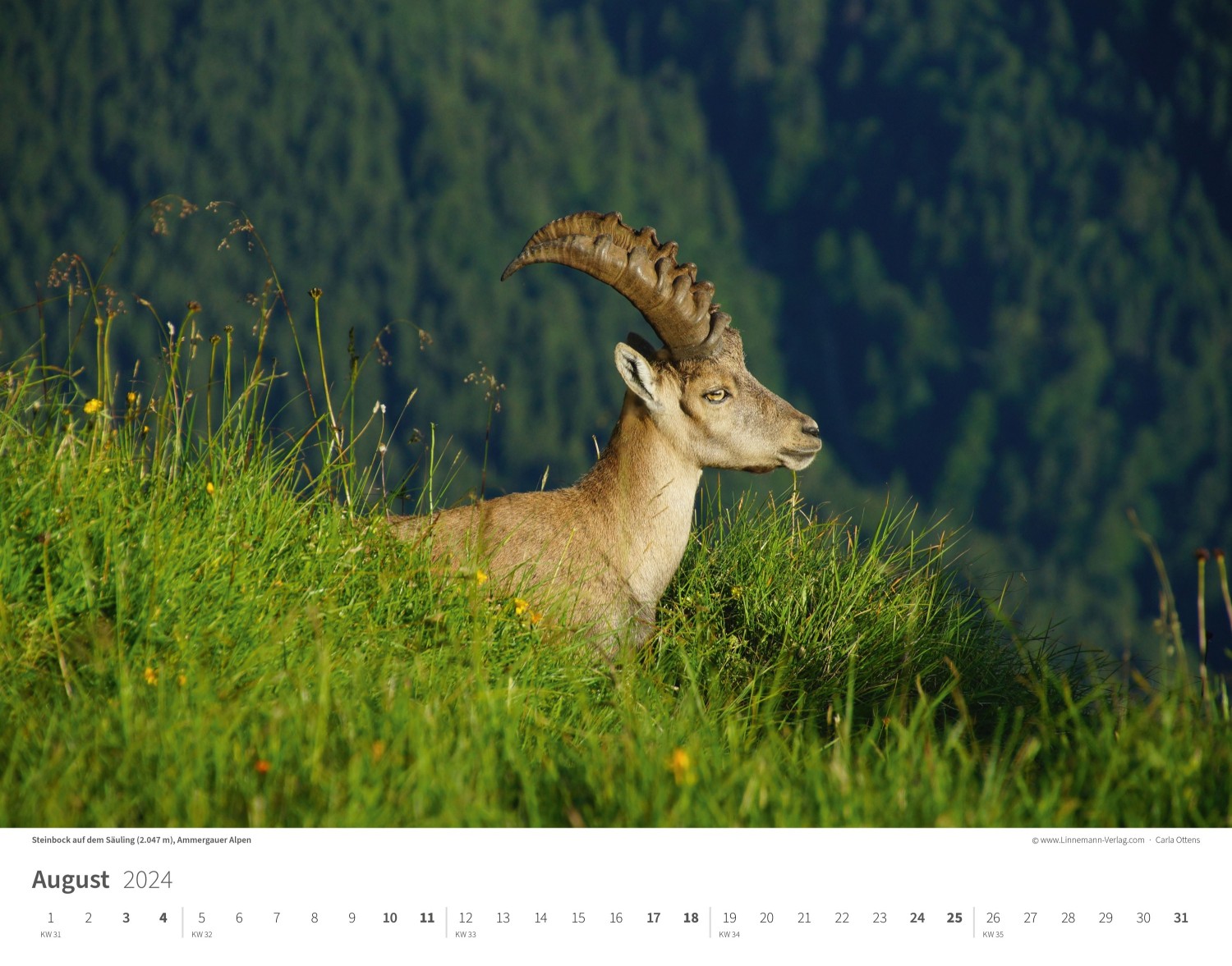 Kalender Alpen 2024