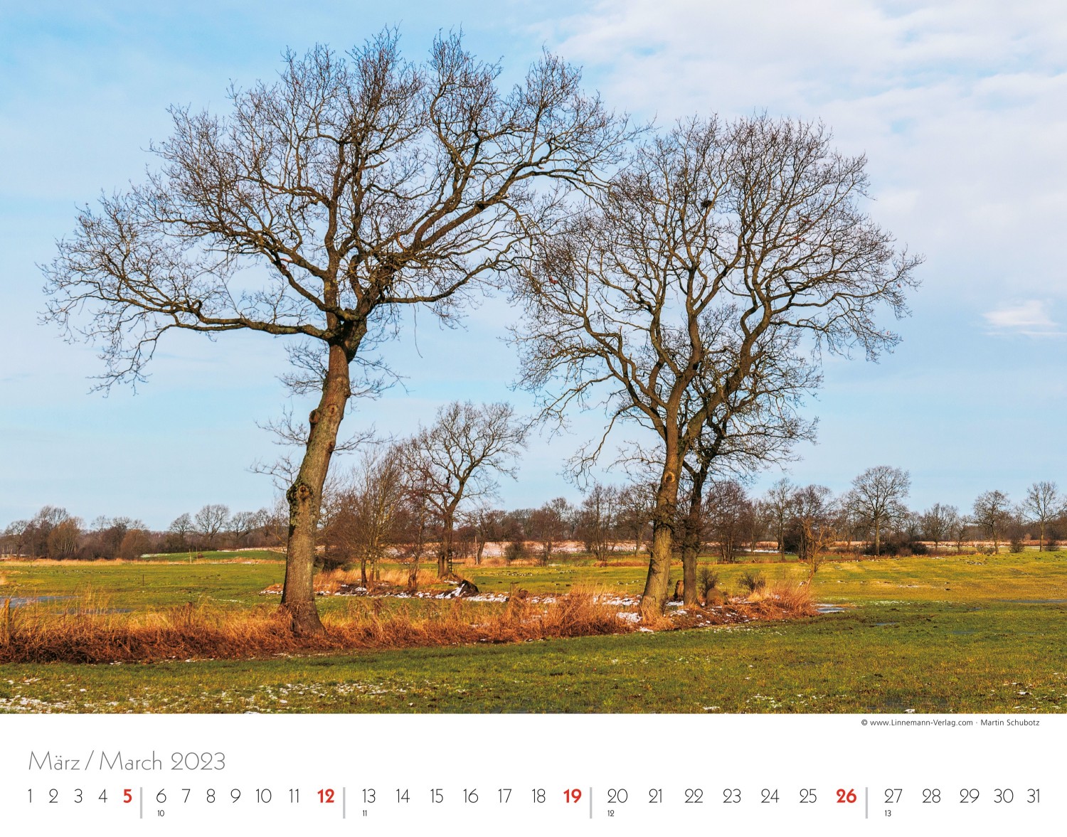 Trees and Forests 2023