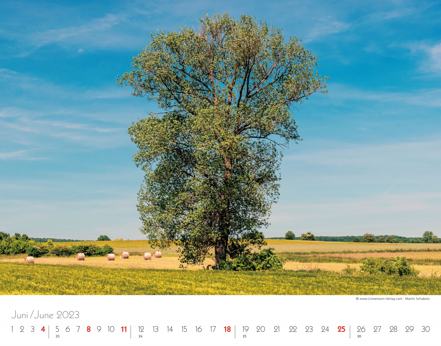 Trees and Forests 2023