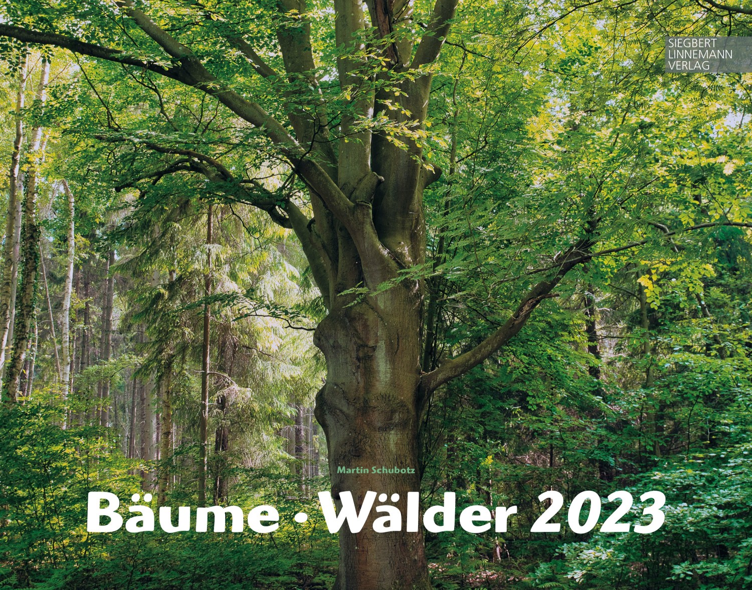 Trees and Forests 2023
