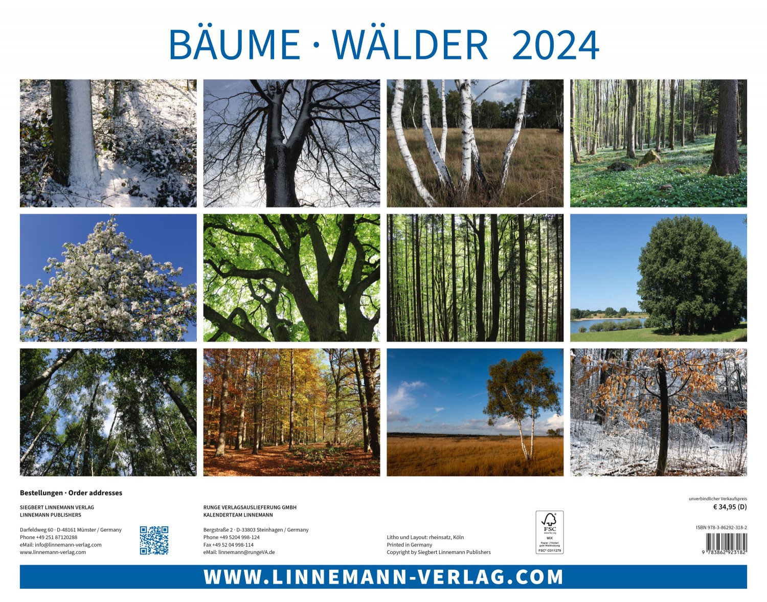 Calendrier mural Les arbres et les forêts 2024 - Calendriers 2020