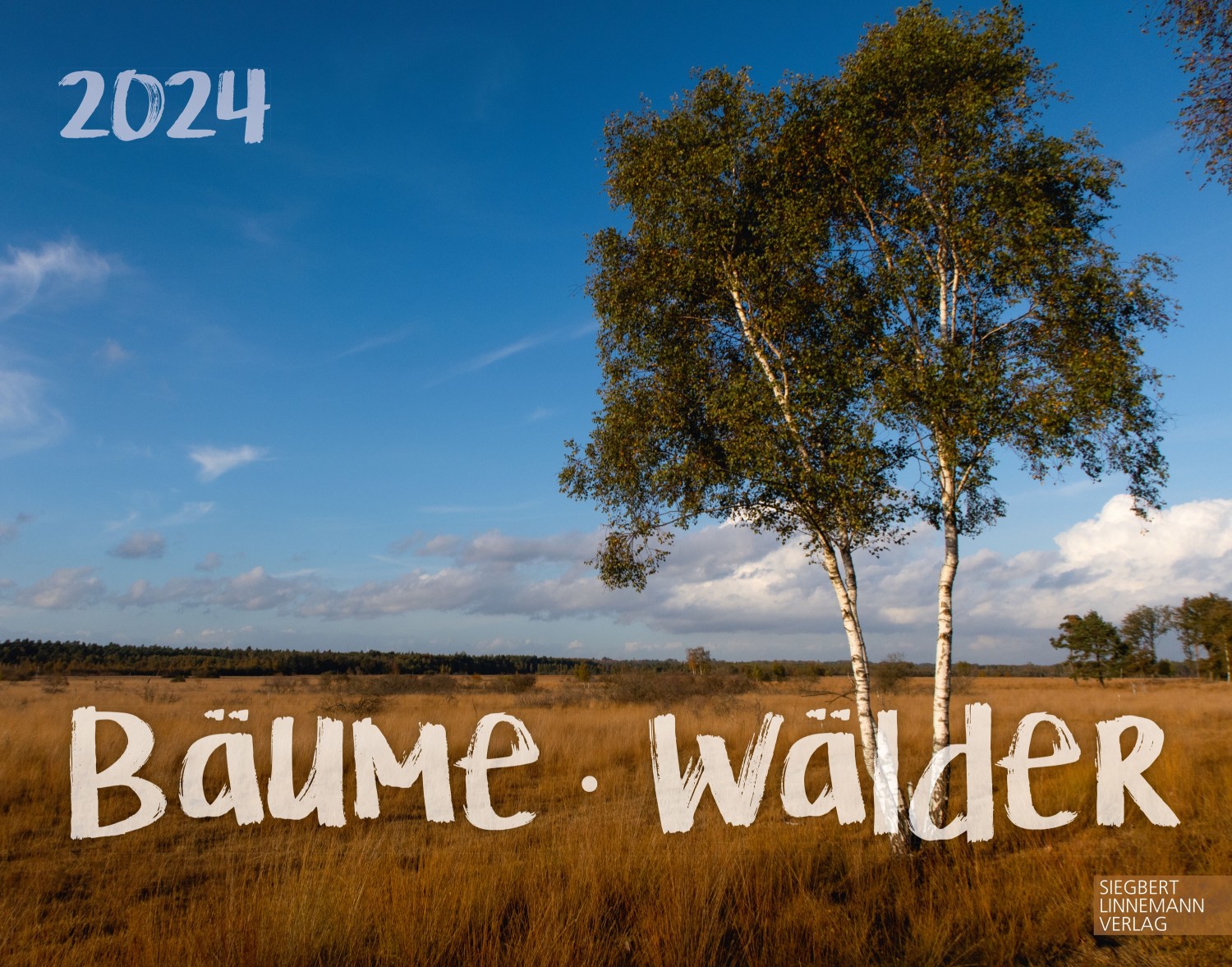 Bäume-Wälder 2024