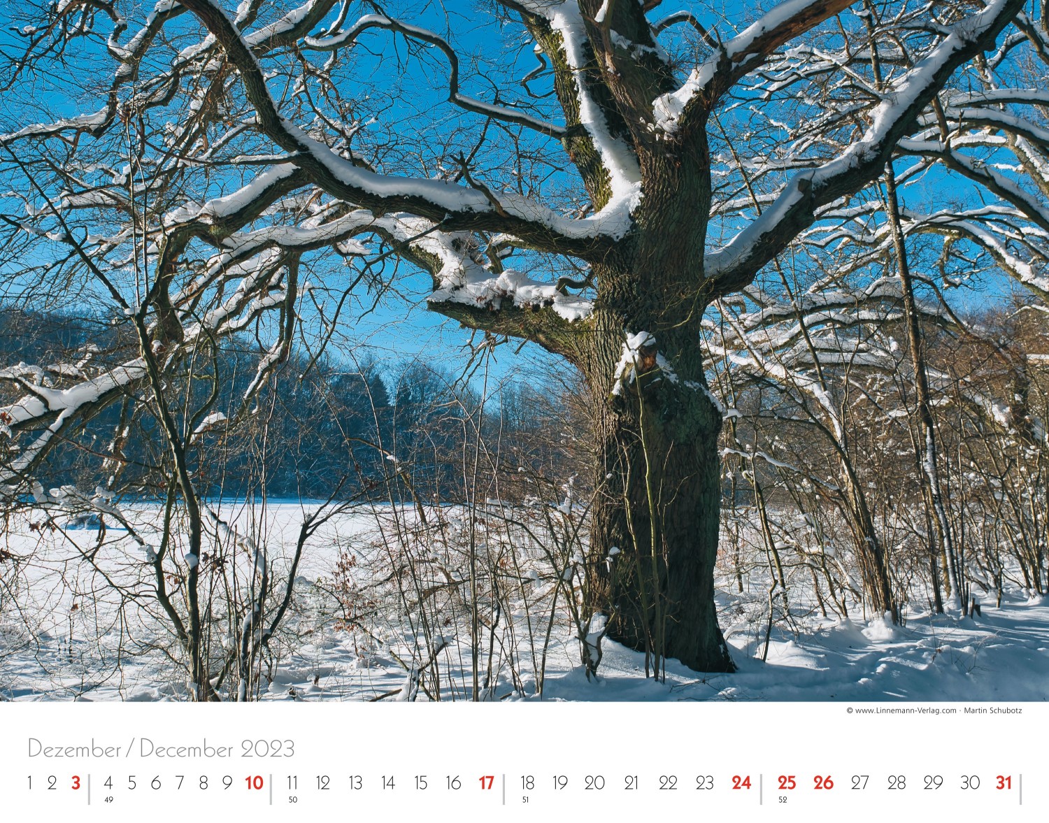 Wall Calendar Seasons 2023 Wall Calendar Seasons 2023