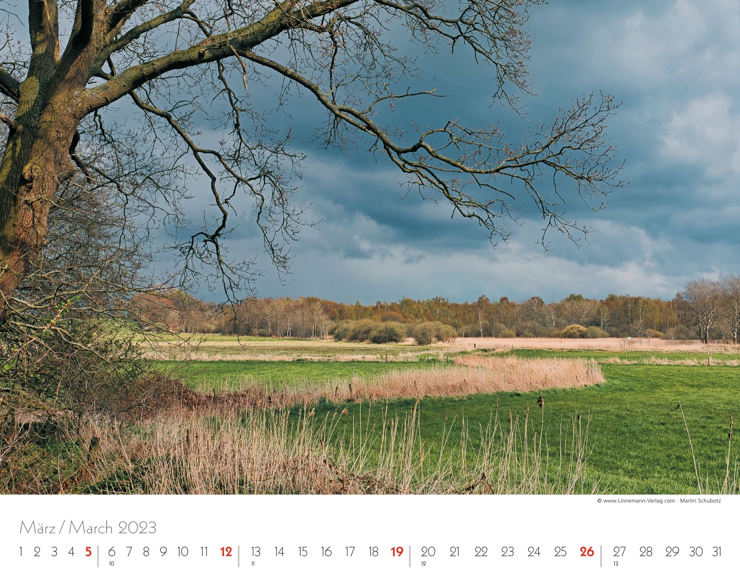 Wall Calendar Seasons 2023 Wall Calendar Seasons 2023