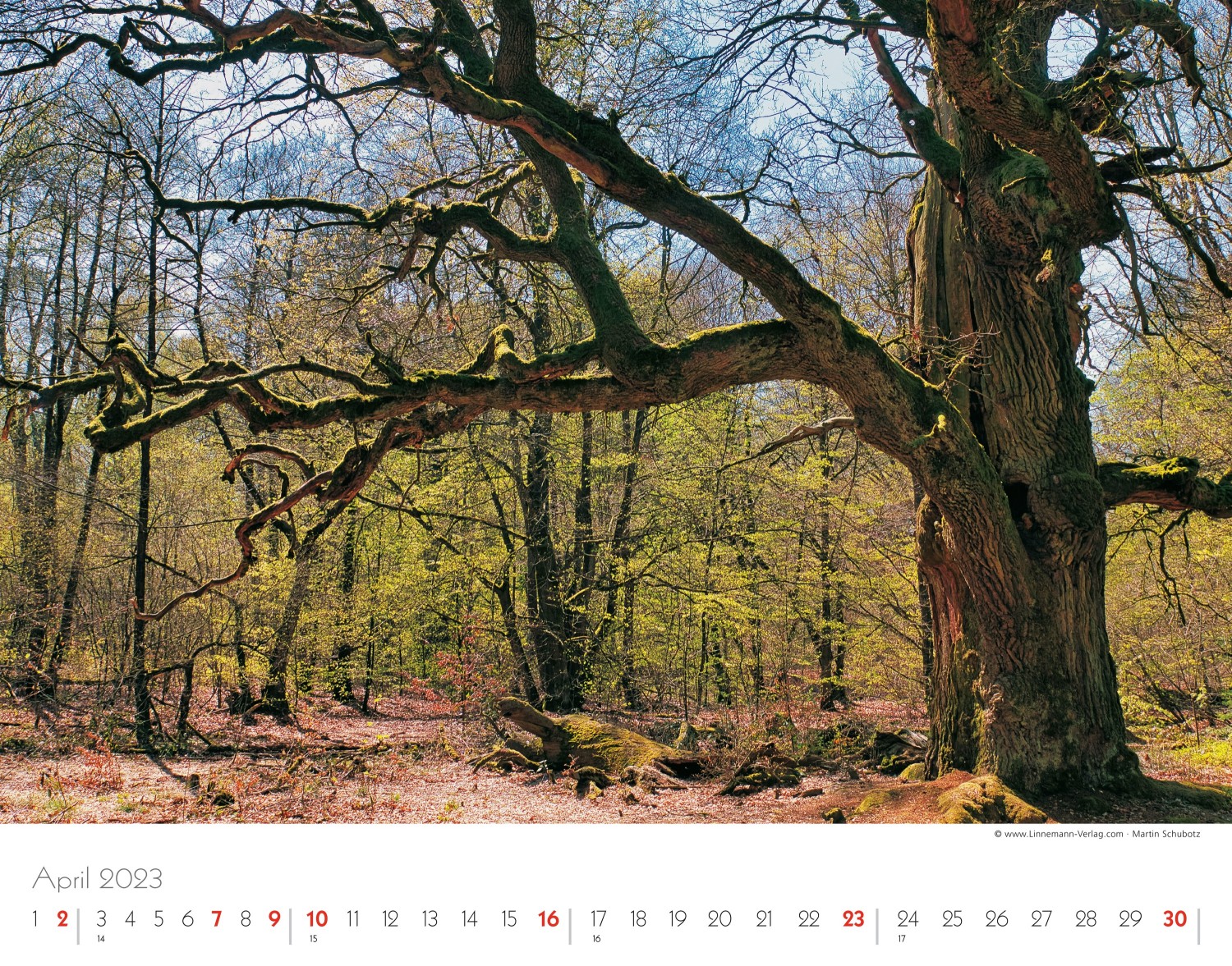 Wall Calendar Seasons 2023 Wall Calendar Seasons 2023