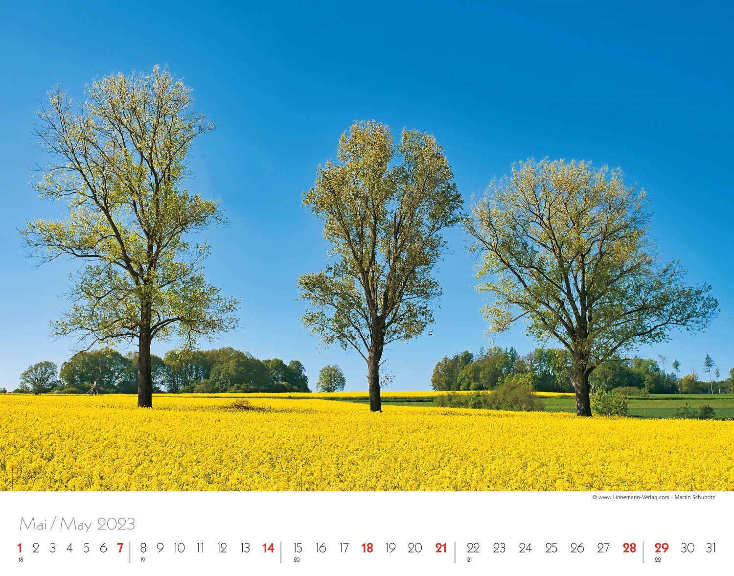 Wall Calendar Seasons 2023