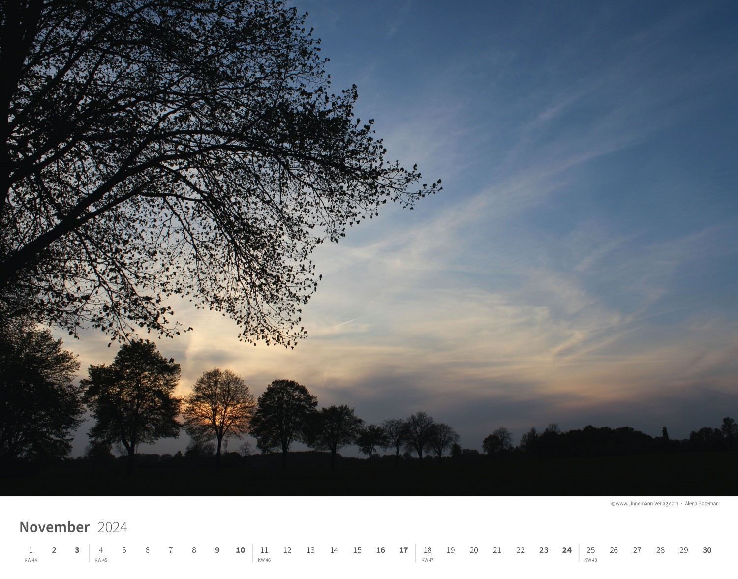 Wall Calendar Seasons 2024