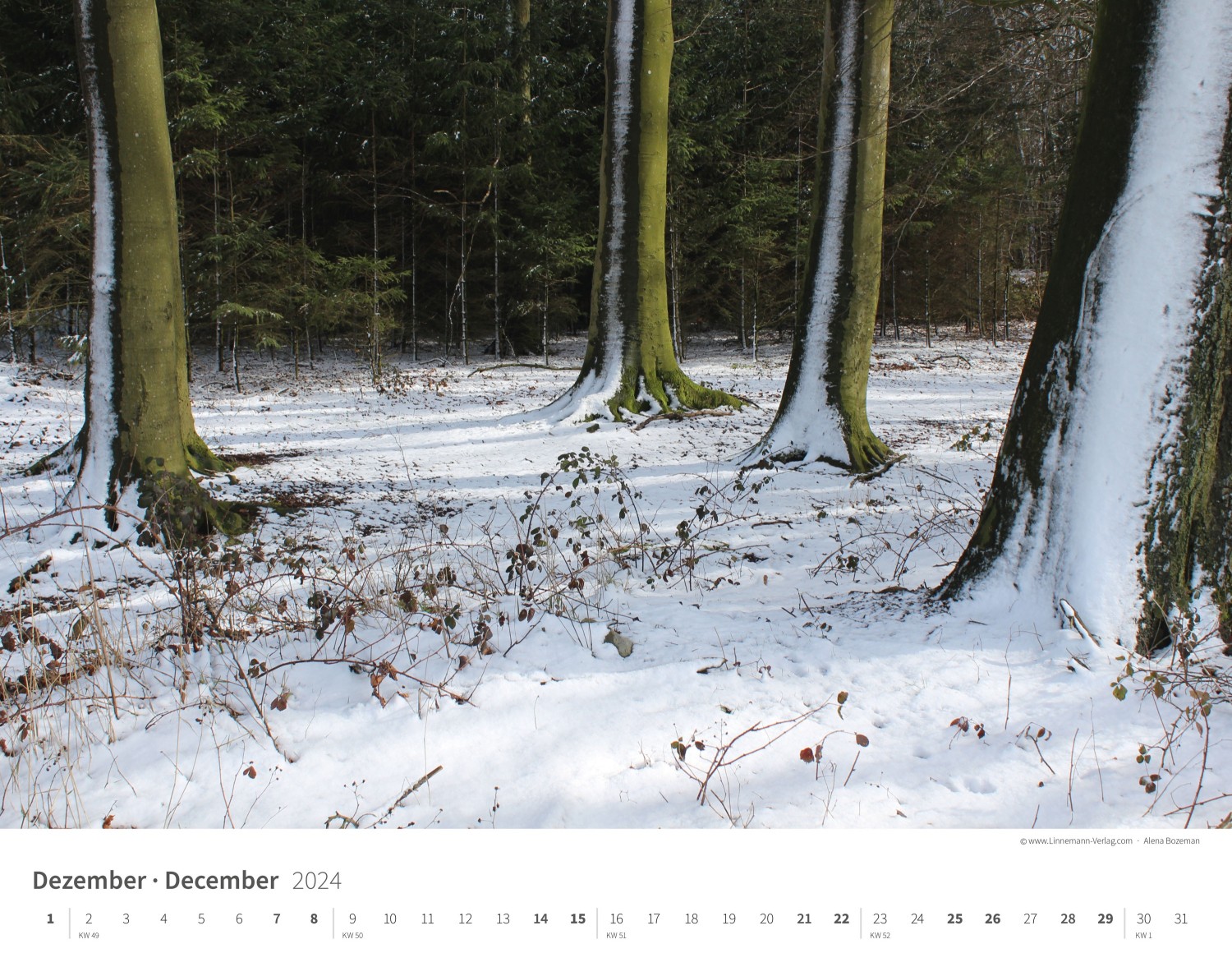 Kalender Jahreszeiten 2024