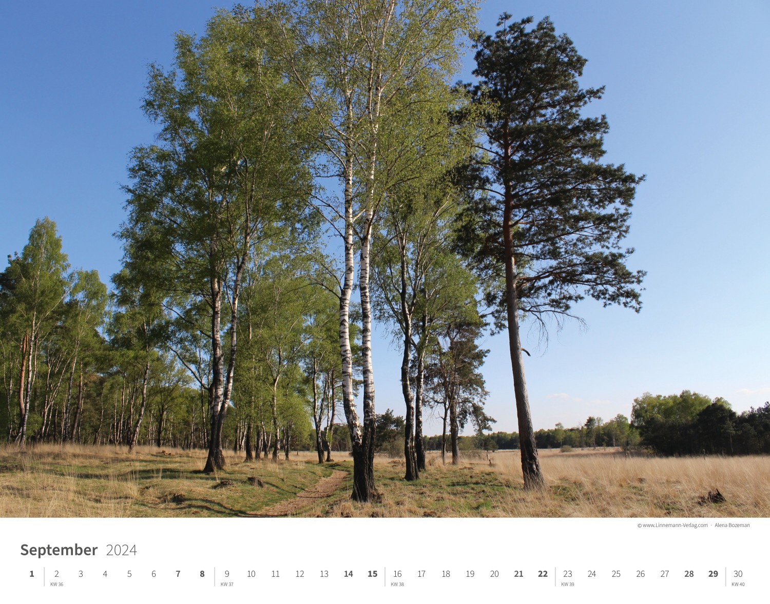 Wall Calendar Seasons 2024