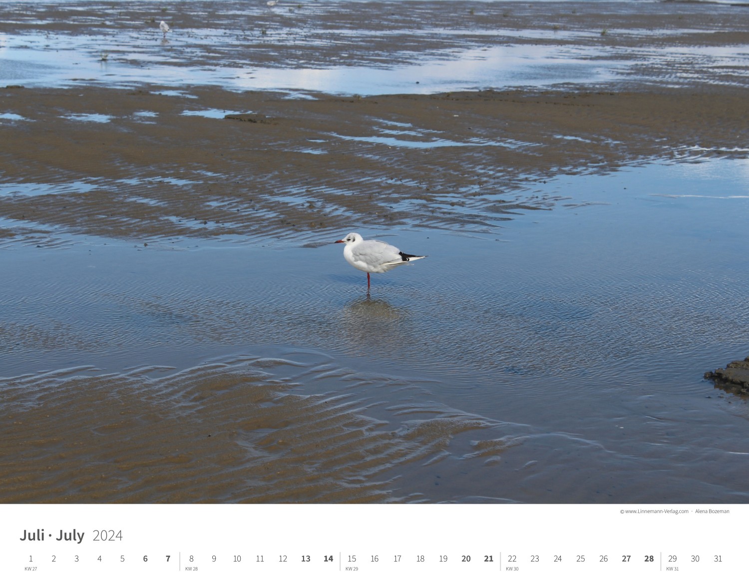 Wall Calendar North Sea 2024